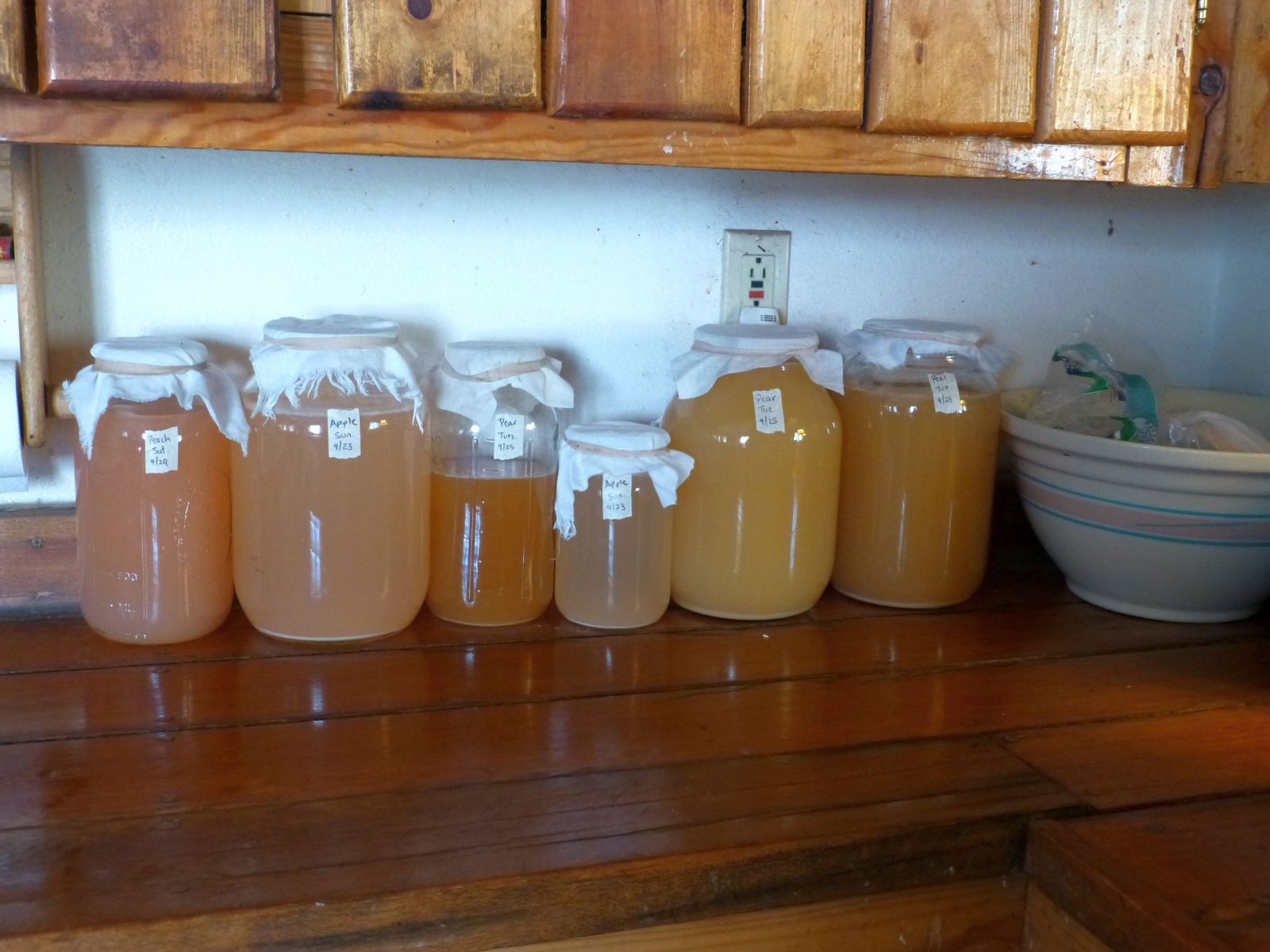 Making Fruit-Scrap Vinegar